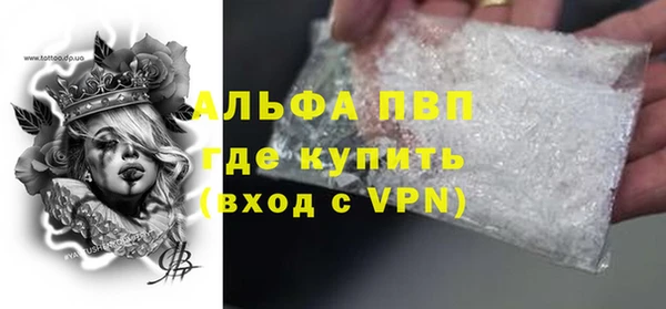 стаф Белокуриха