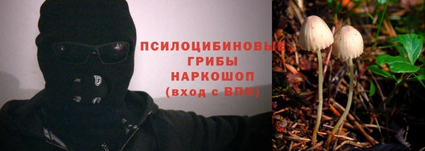 стаф Белокуриха