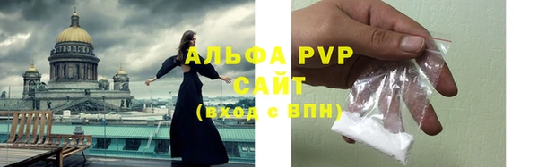 стаф Белокуриха