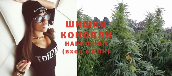 стаф Белокуриха