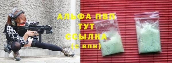 стаф Белокуриха