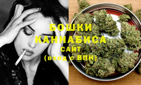стаф Белокуриха