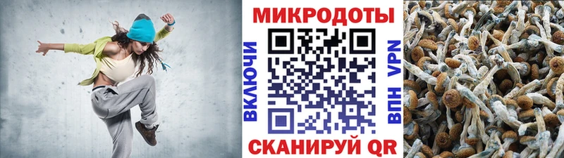 блэк спрут как зайти  Верещагино  Псилоцибиновые грибы прущие грибы 